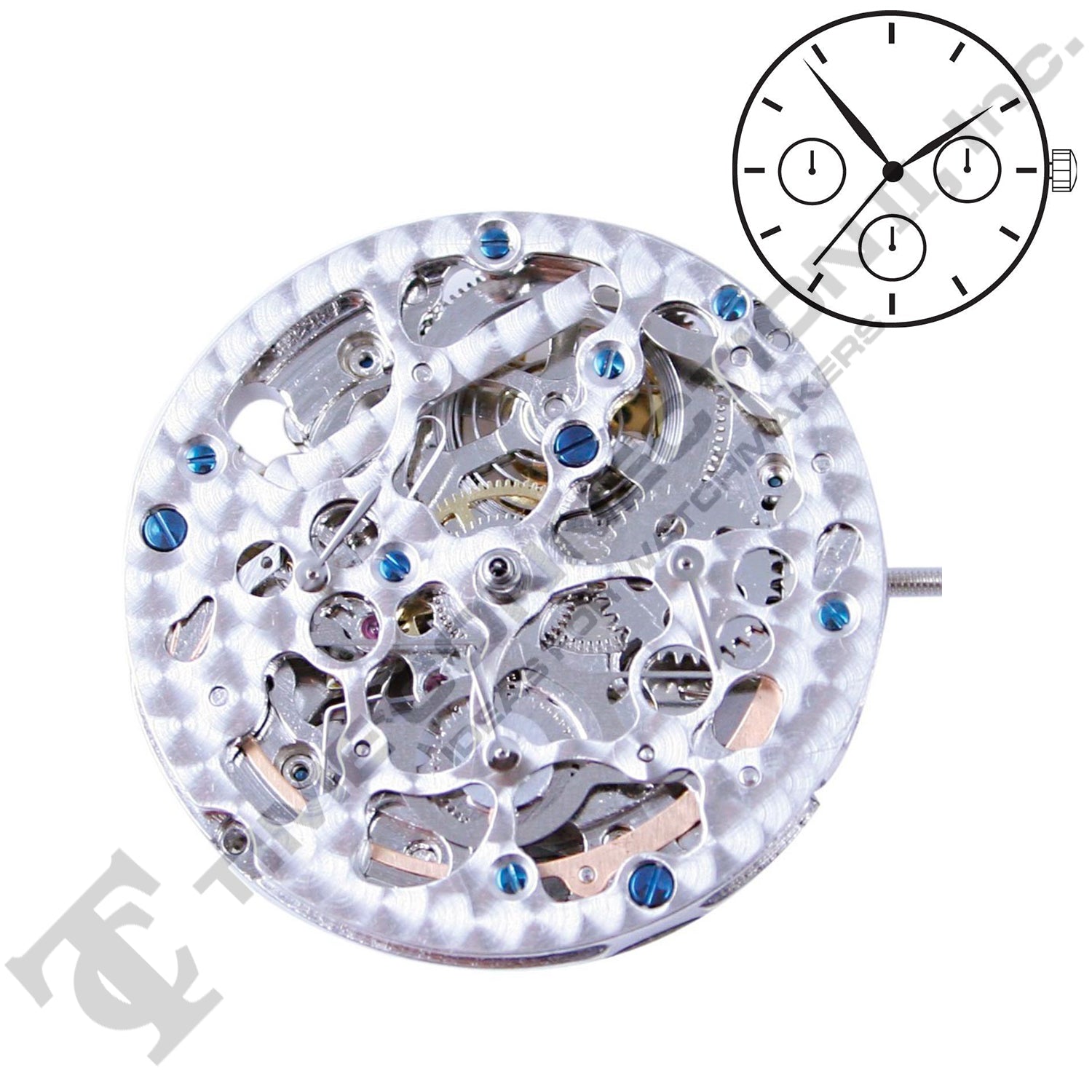 Chinese 2196-S Automatic Movement